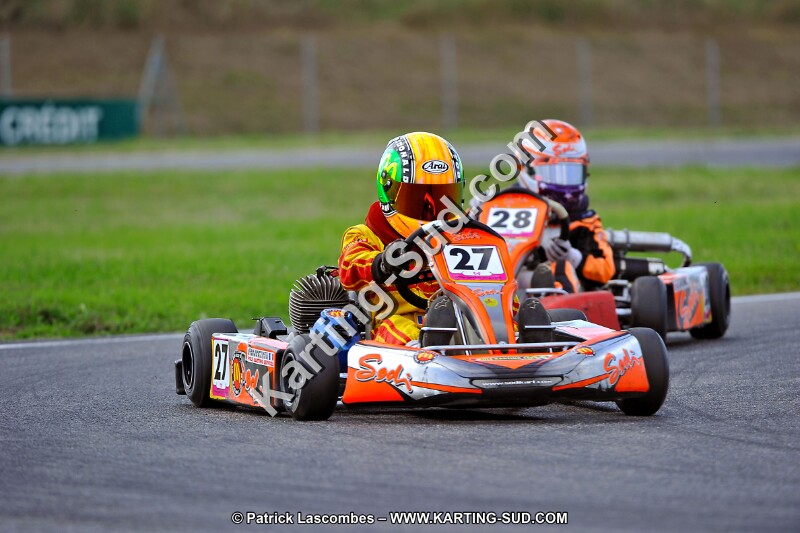 DSC_ (880).jpg